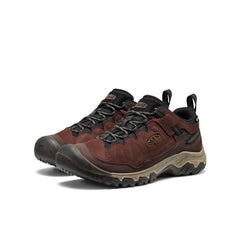 Men's Targhee IV Waterproof Hiking Shoe  |  Java/Bison