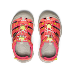 Little Kids' Newport Boundless Sandal  |  Dubarry/Evening Primrose